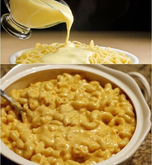 Rezept für hausgemachte Käsesauce für Nudeln