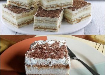 butterkeks-karamell-cremeschnitten