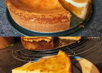 Pfirsichkuchen mit saftigem Guss, fruchtiger, leckerer und schneller Kuchen!