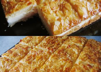 Ultimativer Bienenstich (mit leckerer Puddimg – Sahne Füllung)