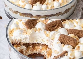 Bratapfel Tiramisu mit Spekulatius
