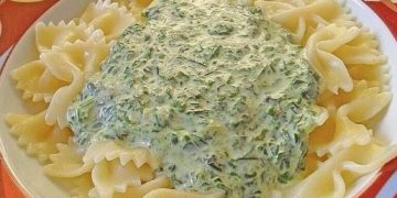 Spinat Frischkäse Soße, die beste Sauce der Welt!