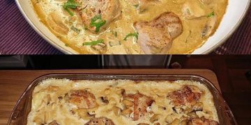 Medaillons In Pilzrahmsosse Wie Aus Dem Restaurant