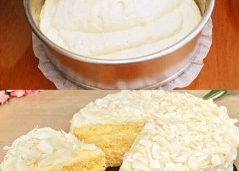 Kokos-Biskuitkuchen