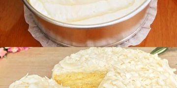 Kokos-Biskuitkuchen