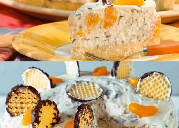 Schokokuss- Mandarinen Torte