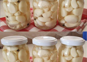 Knoblauch 1 Jahr lang immer frisch und unversehrt: Diesen Trick in der Küche kennen nur Köche