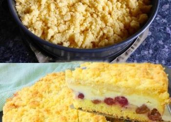 Quark Streuselkuchen der alle begeistert, einfach Klasse!