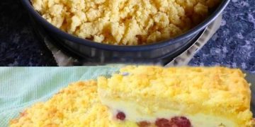 Quark Streuselkuchen der alle begeistert, einfach Klasse!