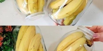 Keine faulen und schwarzen Bananen mehr nach ein paar Tagen: mit dieser Methode halten sie 2 Jahre