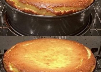 Ultracremiger Käsekuchen, der in ihrem mund schmilzt 