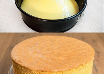 Biskuitboden (von einem Bäckermeister,der leider verstorben ist)