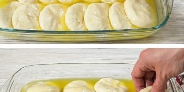 Knusprige Bäuche gefüllt mit Frühlingszwiebeln Spektakulär