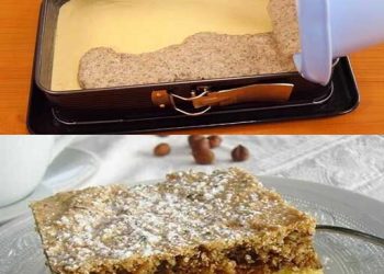 Omas Nuss – Schnitten, meine Lieblingsschnitten WAHNSINNIG Einfach & Lecker