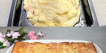 Apfelkuchen mit Vanillepudding wie vom Oma