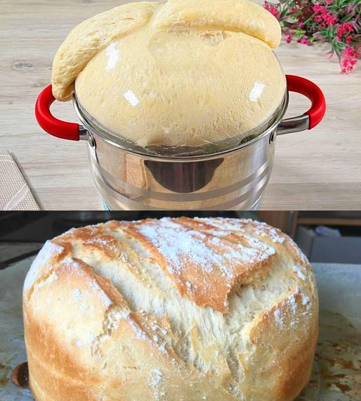 Friss dich dumm Brot in 5 Minuten alles zusammengerührt!