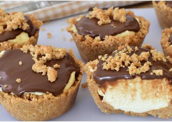 No-Bake-Tiramisu-Kuchen Einfach und auch ohne Schimmel!