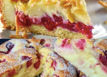 Blitz Kirschkuchen mit Vanillepudding, Fruchtig, saftig und wahnsinnig lecker