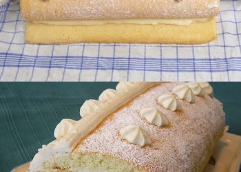 Biskuitrolle mit Zitronen – Quark Füllung, alle sind sprachlos!