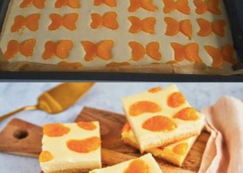 Käse Mandarinen Blechkuchen