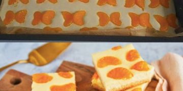  Käse Mandarinen Blechkuchen
