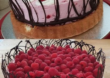 himbeertorte, macht extrem satt 