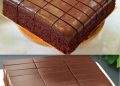 Jedes Stück schmilzt im Mund, Schokokuchen in 2 Minuten 