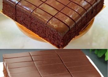 Jedes Stück schmilzt im Mund, Schokokuchen in 2 Minuten 