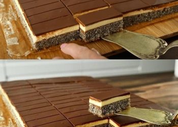  Mohnkuchen mit Vanillecreme