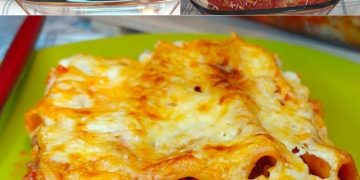 Mit Ragù gefüllte Cannelloni: der leckere erste Gang, den Sie lieben werden