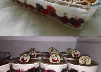 Weihnachtliches Tiramisu, haut immer wieder vom Hocker!