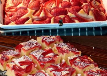 ERDBEER BISKUITKUCHEN