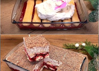 Himbeertiramisu mit Ricotta-Käse