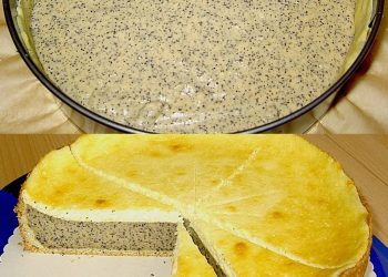 Der BESTE Mohnkuchen saftig und fluffig nach Omas Rezept!