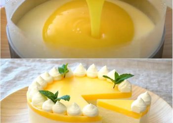 ZITRONEN-KÄSEKUCHEN – OHNE BACKEN