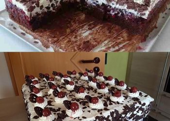 ZICK-ZACK-Puddingkuchen Mit Saurer Sahne