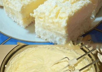 Fantastischer Kokoskuchen mit Vanillepudding