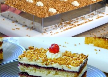 Mensch,, die sind, absolut sucht gefährlich, Frankfurter Kranz Schnitten 