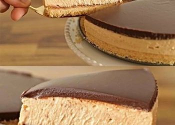 Suchtgefahr Pur, Nutella Torte ohne Backen die immer gelingt