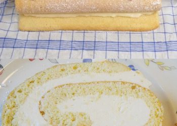 Biskuitrolle mit Zitronen – Quark Füllung, alle sind sprachlos!