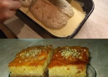 Einer dieser alten, saftigen Kuchen, die unsere Großmütter gemacht haben