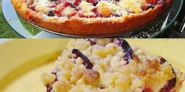 Zwetschgenkuchen mit Zimtstreuseln in 5 Minuten bereit für den Ofen