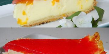 Absoluter Anfängerkuchen, Mandarinen – Schmand Torte alle lieben es!