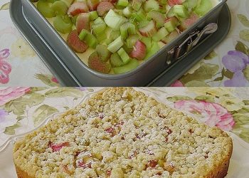 Rhabarberkuchen mit Quarkcreme und Streuseln