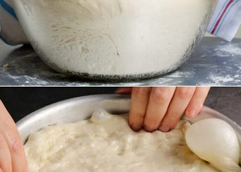 Rezept für den weichen Hefeteig aus Turin