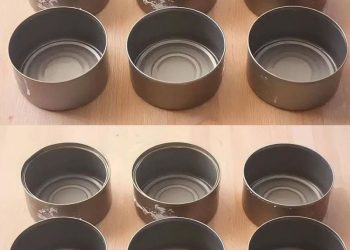 Werfen Sie Thunfischdosen nicht weg, sie sind zu Hause Gold wert: So verwenden Sie sie wieder