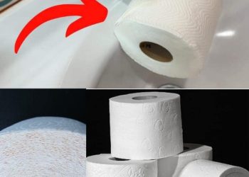 Toilettenpapier: Die größten Luxushotels verheimlichen diesen genialen Trick vor uns