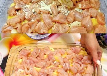 Hähnchen Kartoffel Gratin, Was für ein leckere essen