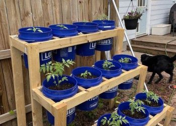 22 geniale Möglichkeiten, alten Eimern neues Leben einzuhauchen