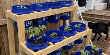 22 geniale Möglichkeiten, alten Eimern neues Leben einzuhauchen